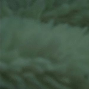 Meet your Posher, Max